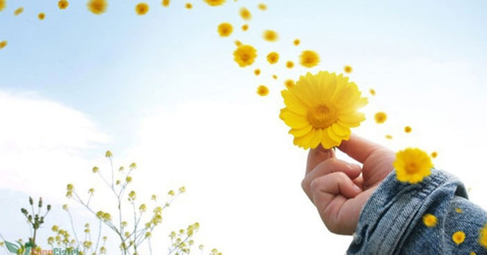 Những stt bình yên hài hước sẽ mang đến cho bạn khoảnh khắc thư giãn, thoải mái giữa cuộc sống bận rộn