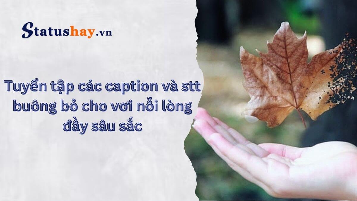 stt buông bỏ