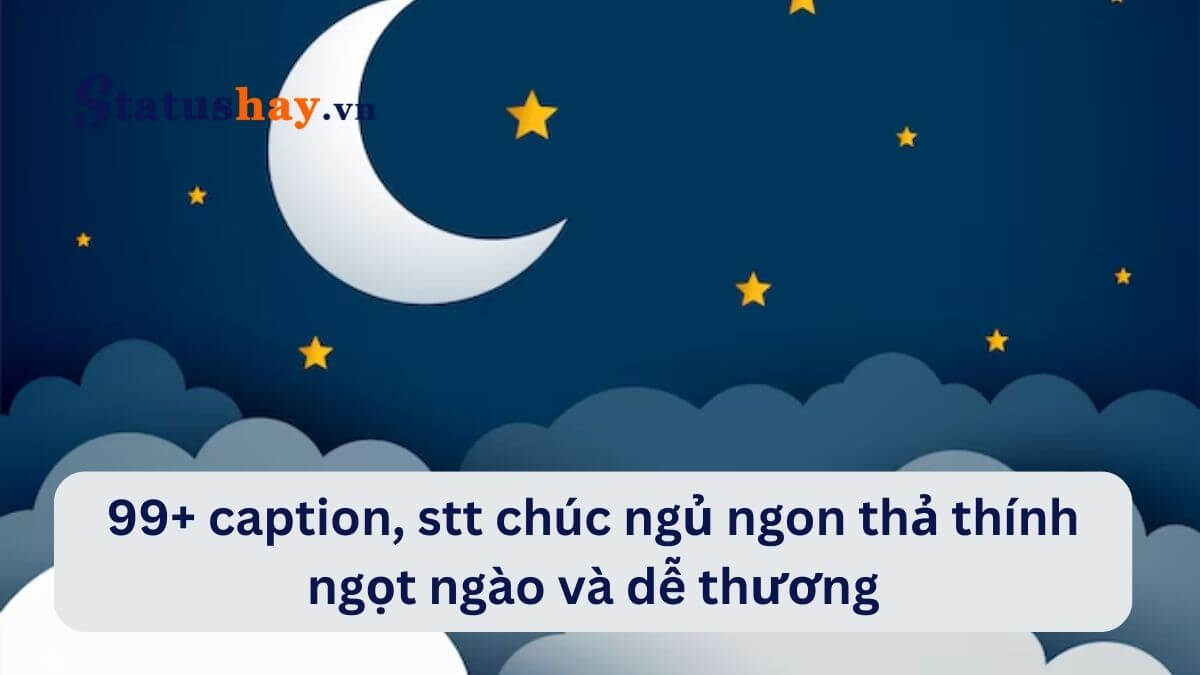 Stt chúc ngủ ngon thả thính