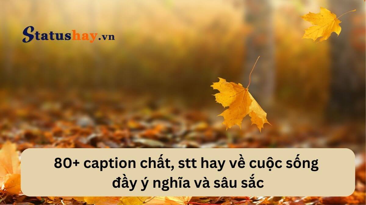 Stt hay về cuộc sống
