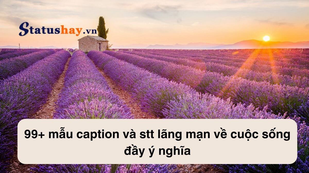 Stt lãng mạn về cuộc sống