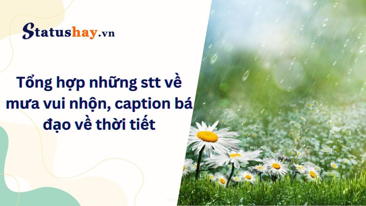 Stt về mưa vui nhộn