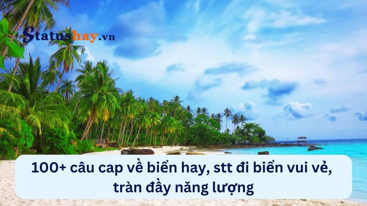 Stt đi biển vui