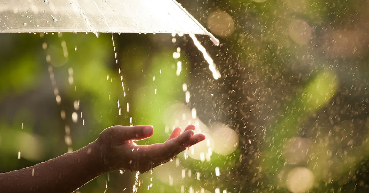 Những stt mưa buồn đầy sâu sắc sẽ gợi nhớ cho bạn về những kỷ niệm xưa