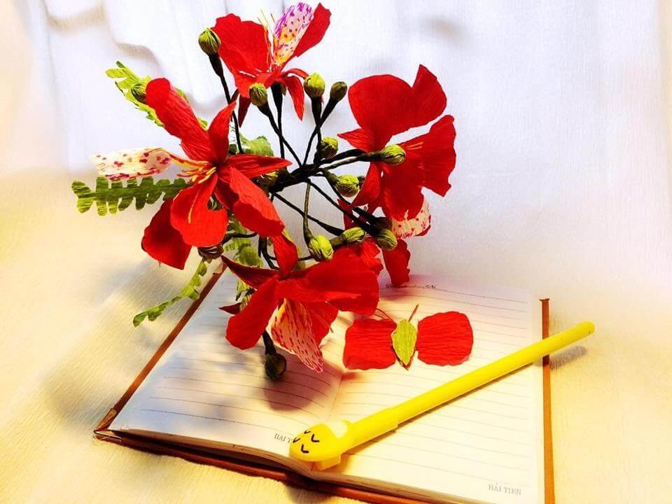Những caption, stt hoa phượng thả thính đầy ý nghĩa sẽ khơi dậy cảm xúc trong lòng người yêu của bạn