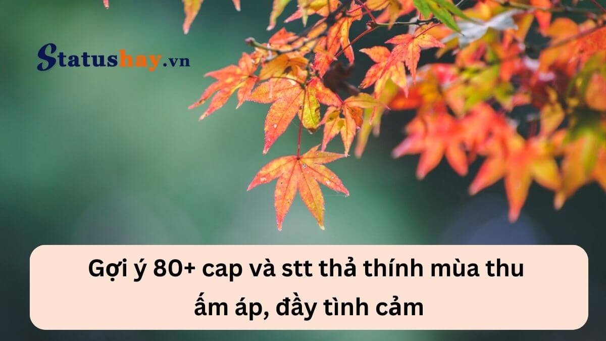 Stt thả thính mùa thu
