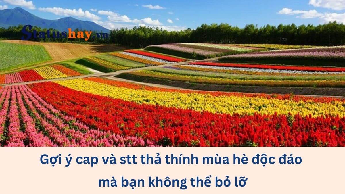 Stt thả thính mùa hè