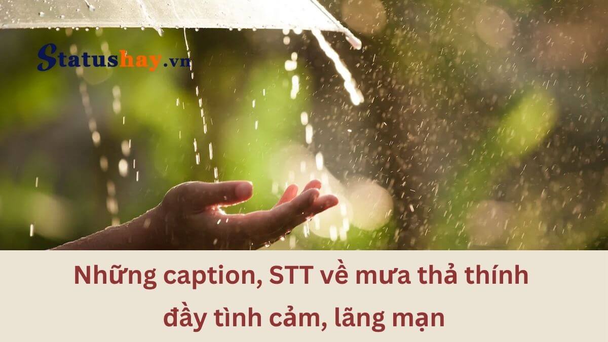 Stt về mưa thả thính