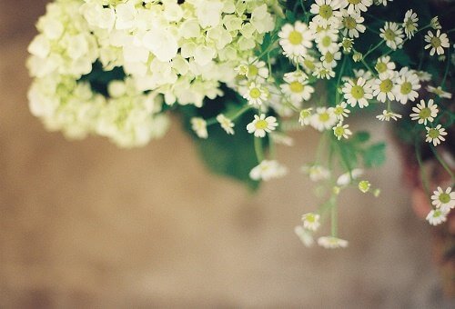 Các caption, stt an nhiên cũng góp phần thanh lọc tâm hồn mệt mỏi của bạn