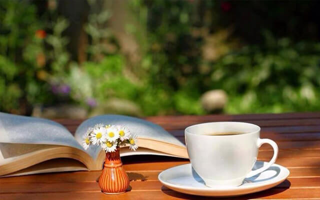 Những caption, stt cuộc sống bình dị sẽ giúp bạn tìm thấy sự an nhiên trong tâm hồn