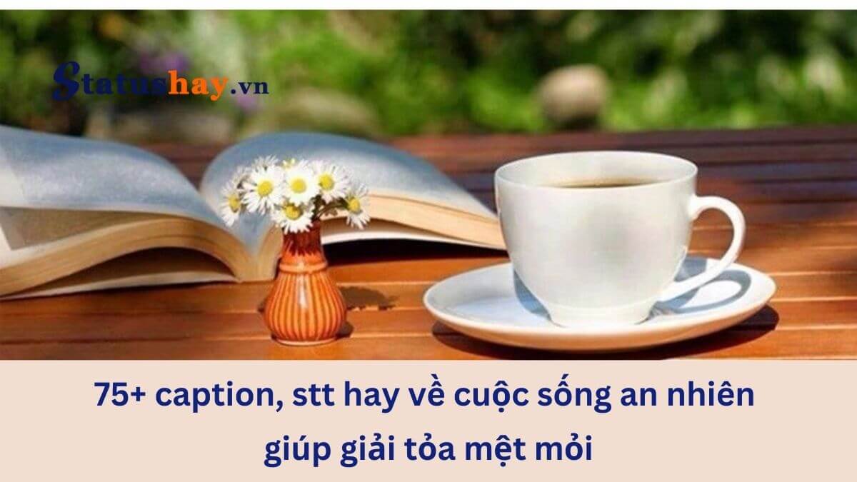 Stt hay về cuộc sống an nhiên