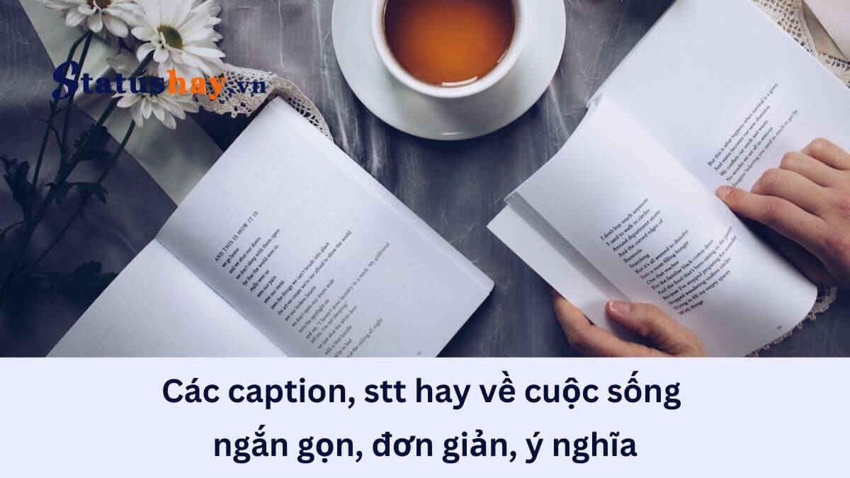 Stt hay về cuộc sống ngắn gọn