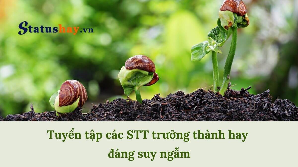 Stt trưởng thành