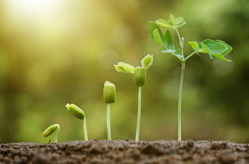 Các caption, stt trưởng thành sẽ giúp bạn vượt qua những khó khăn thử thách trên đường đời