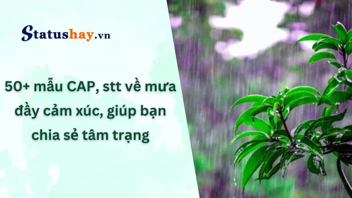 Stt về mưa